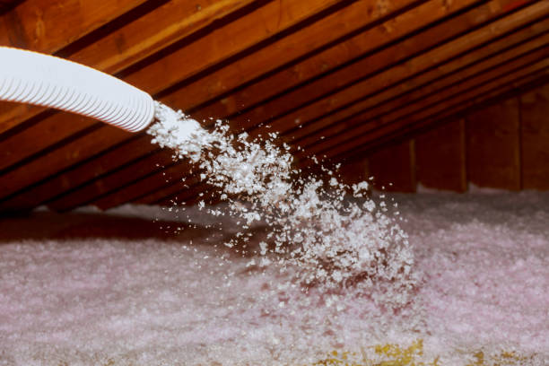 Best Residential Insulation in Sarasota, FL