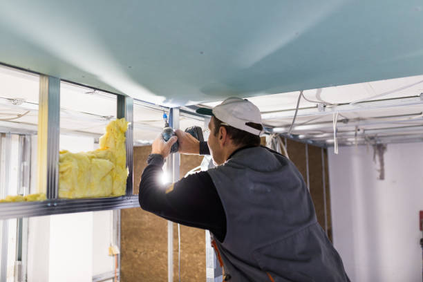 Professional Insulation Contractor in FL