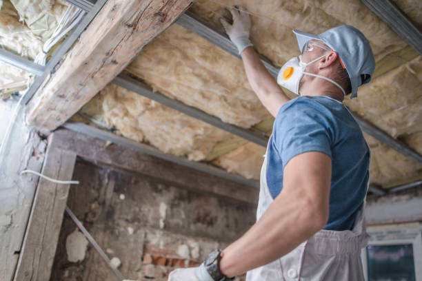 Best Insulation Installation Services in Sarasota, FL