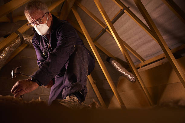 Best Commercial Insulation in Sarasota, FL